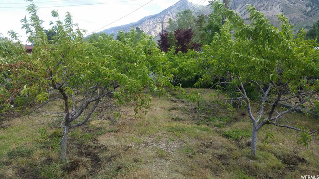 251 N 600 E, Brigham City, UT 84302 — photo 3
