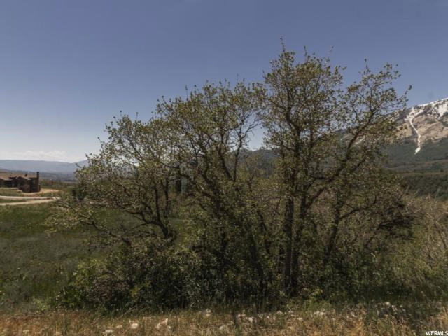 6781 N 2075 E #35, Liberty, UT 84310 — photo 5