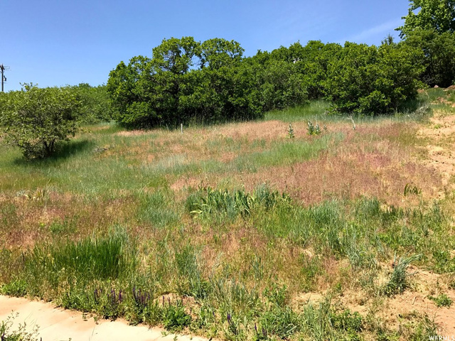 2091 E 2900 N #302, Layton, UT 84040 — photo 7