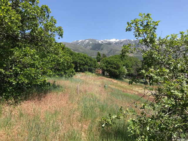 2091 E 2900 N #302, Layton, UT 84040 — photo 5