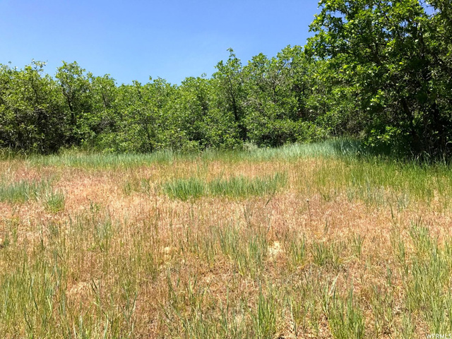 2091 E 2900 N #302, Layton, UT 84040 — photo 8