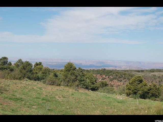 #3, Moab, UT 84532 — photo 11