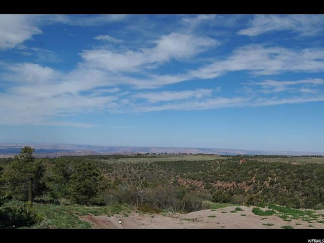 #3, Moab, UT 84532 — photo 12