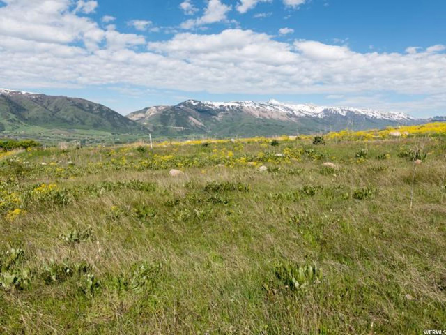 3665 Middle Fork Rd #113, Eden, UT 84310 — photo 5
