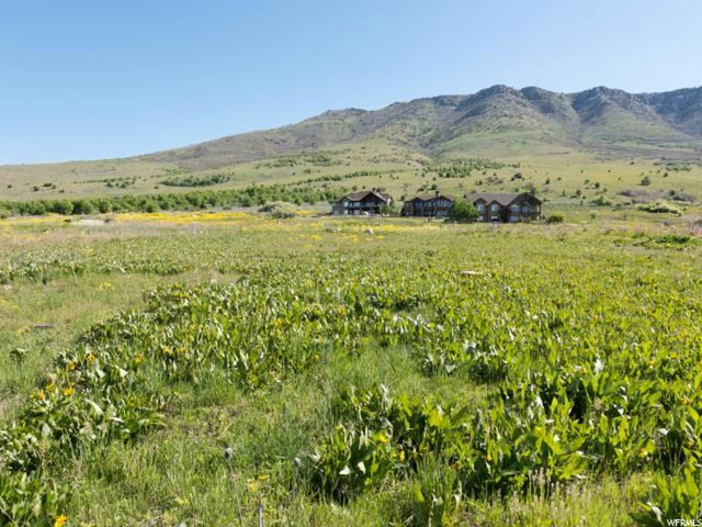 3630 E Pineview Ct #116, Eden, UT 84310 — photo 3