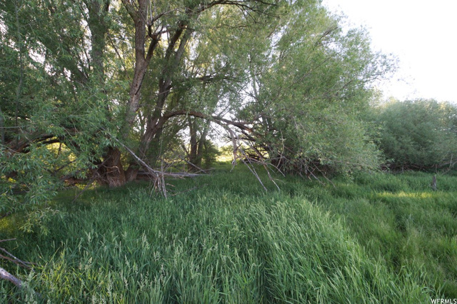 448 W 500 S, Midway, UT 84049 — photo 9