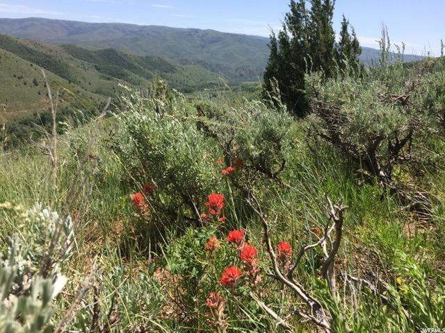 #91, Huntsville, UT 84317 — photo 3