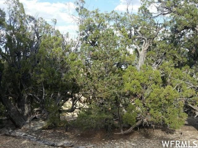 #258, Fruitland, UT 84027 — photo 5