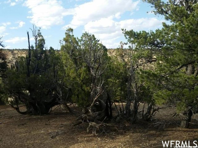 #258, Fruitland, UT 84027 — photo 6