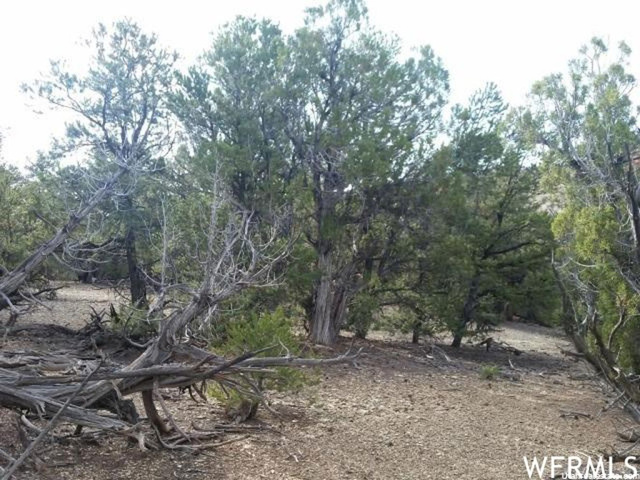 #258, Fruitland, UT 84027 — photo 3
