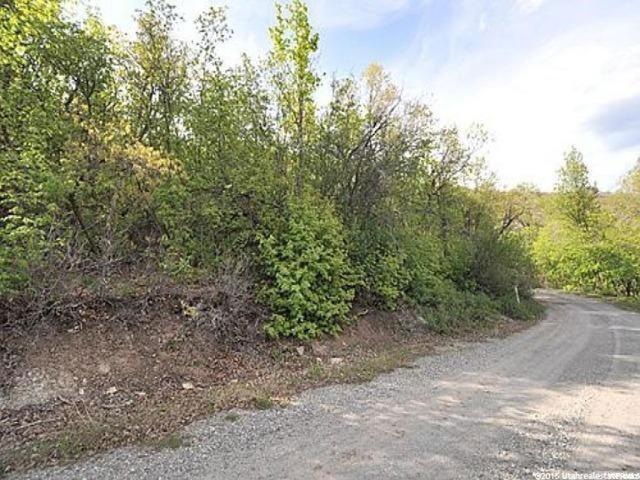 72 Lower Canyon #72, Midway, UT 84049 — photo 11