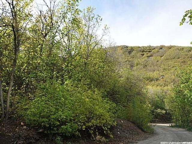72 Lower Canyon #72, Midway, UT 84049 — photo 3