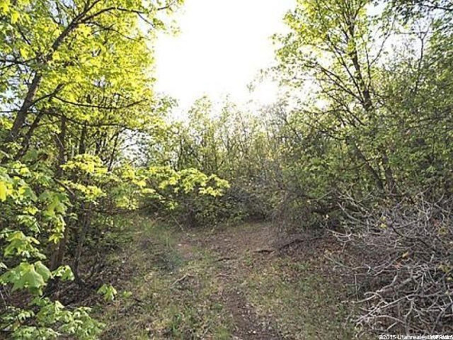 72 Lower Canyon #72, Midway, UT 84049 — photo 2
