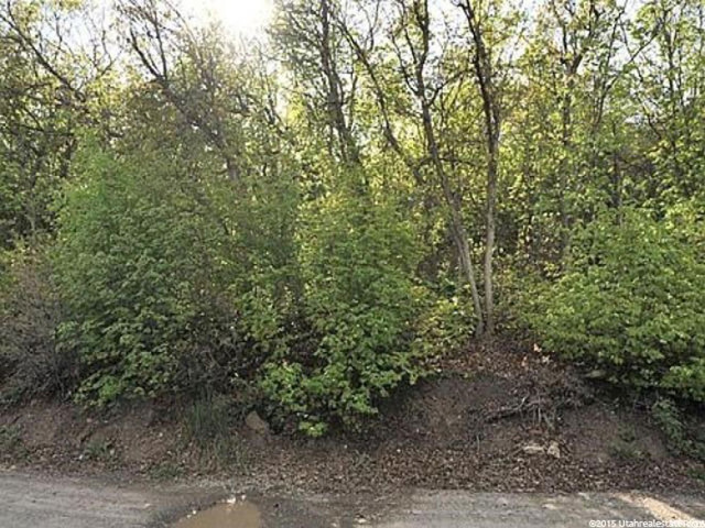 72 Lower Canyon #72, Midway, UT 84049 — photo 12