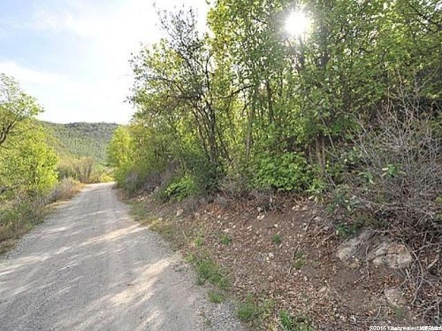 72 Lower Canyon #72, Midway, UT 84049 — photo 5