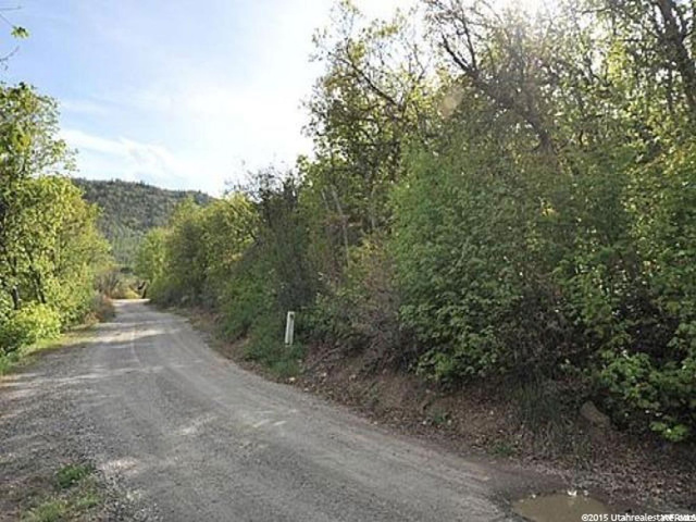 72 Lower Canyon #72, Midway, UT 84049 — photo 10