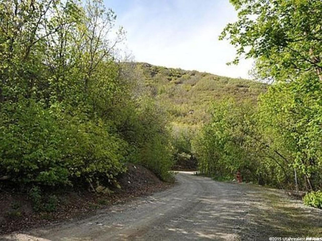 72 Lower Canyon #72, Midway, UT 84049 — photo 7