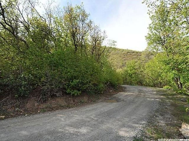 72 Lower Canyon #72, Midway, UT 84049 — photo 8