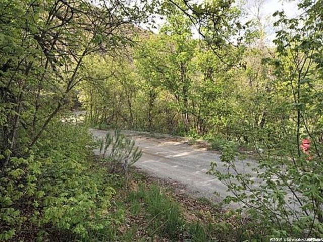 72 Lower Canyon #72, Midway, UT 84049 — photo 4