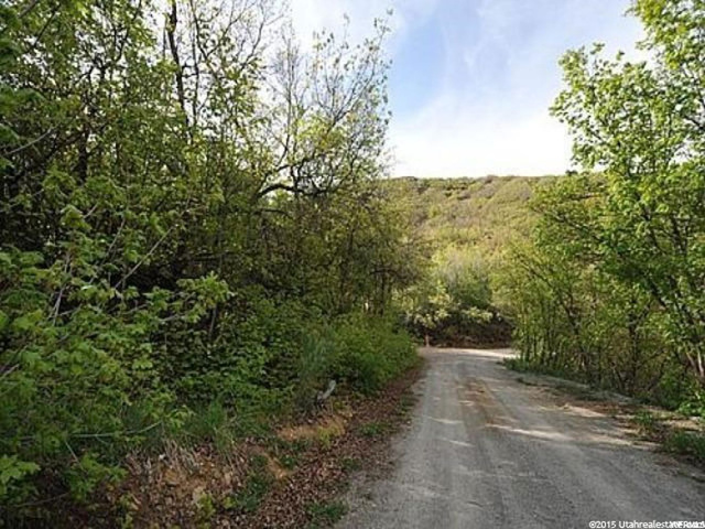 72 Lower Canyon #72, Midway, UT 84049 — photo 9