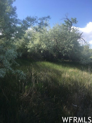 #7, Roosevelt, UT 84066 — photo 6