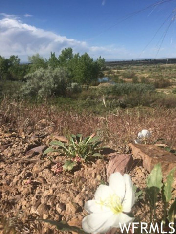 #7, Roosevelt, UT 84066 — photo 3