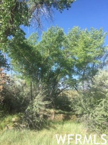 #7, Roosevelt, UT 84066 — photo 4