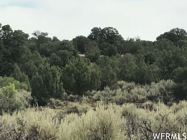 #43A, Duchesne, UT 84021 — photo 4