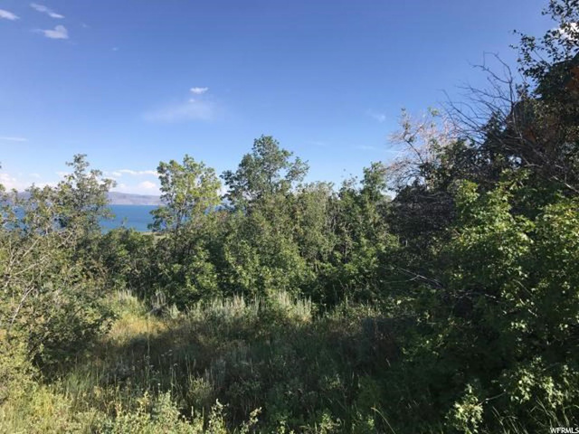47 Juniper Dr #463, Fish Haven, ID 83287 — photo 4