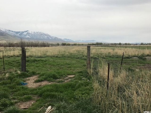 1874 E Pheasant Ln, Lake Point, UT 84074 — photo 5