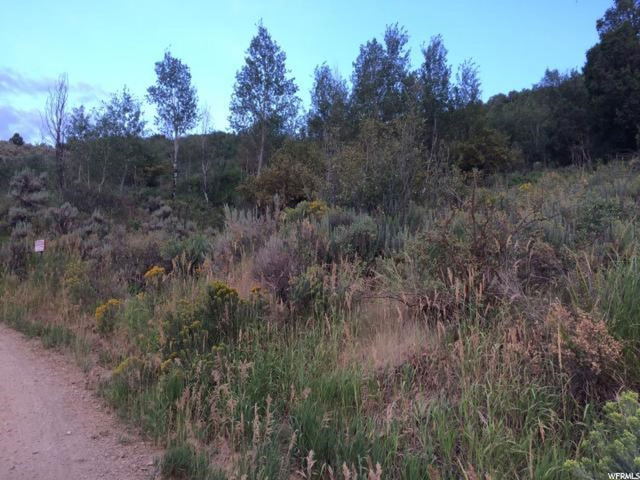 158 S Dugway Rd #158, Echo, UT 84024 — photo 3