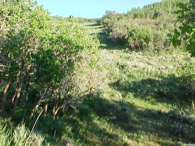 192 N West Rd #192, Echo, UT 84024 — photo 5