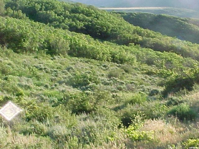 192 N West Rd #192, Echo, UT 84024 — photo 2