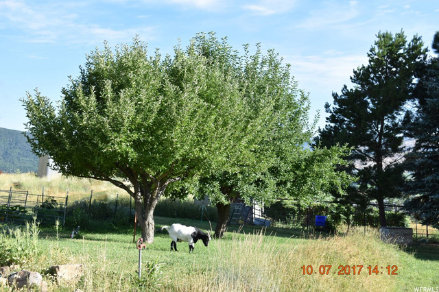3169 E 3350 N, Liberty, UT 84310 — photo 12