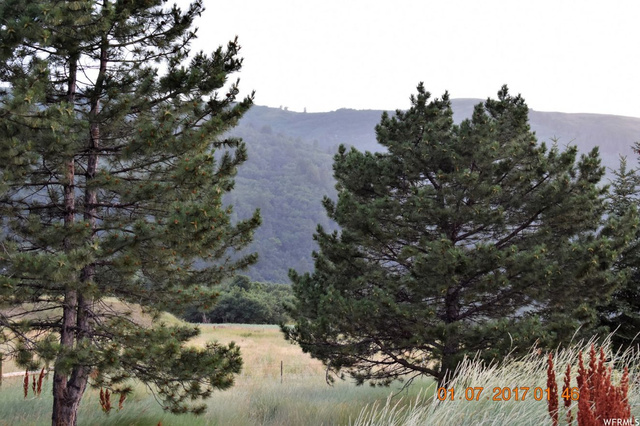 3169 E 3350 N, Liberty, UT 84310 — photo 2