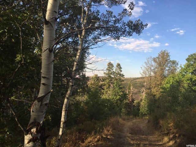 122 Elkridge Rd #122, Echo, UT 84024 — photo 3
