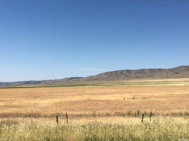 Mona, UT 84645 — photo 3