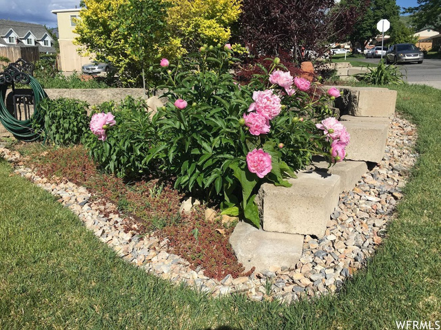 3384 S 800 W, Bountiful, UT 84010 — photo 4