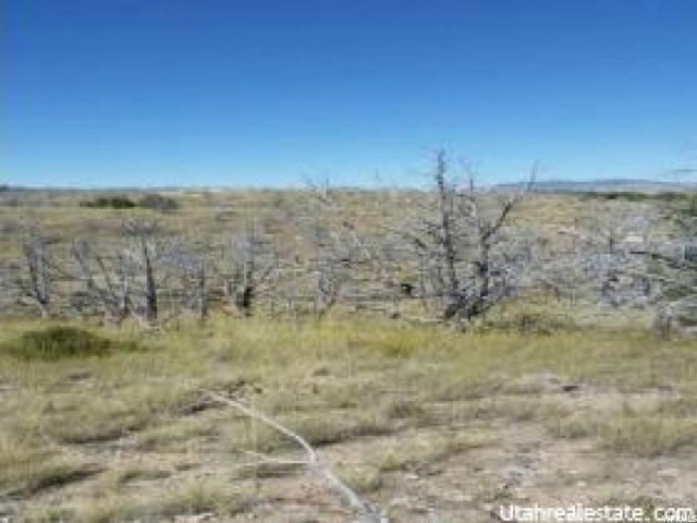 Levan, UT 84639 — photo 9