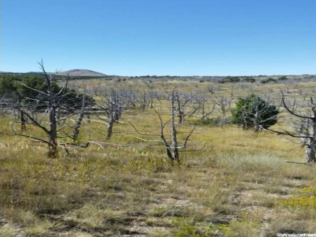 Levan, UT 84639 — photo 2