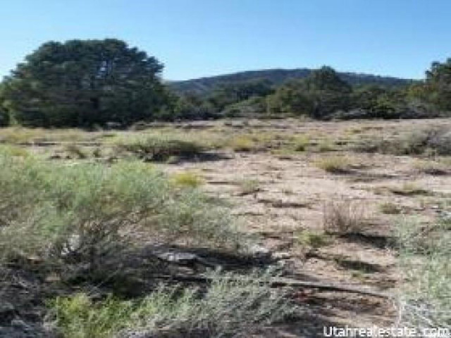 Levan, UT 84639 — photo 8