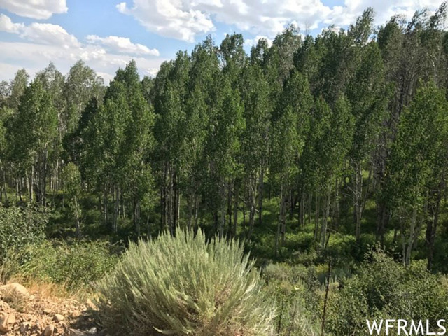 #6, Tabiona, UT 84072 — photo 3