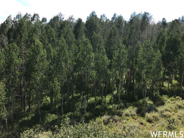 #6, Tabiona, UT 84072 — photo 6