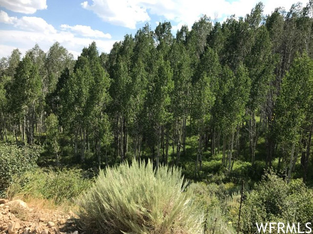 #6, Tabiona, UT 84072 — photo 4