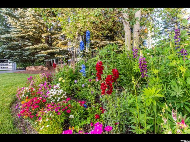 4383 N River Rd, Oakley, UT 84055 — photo 2