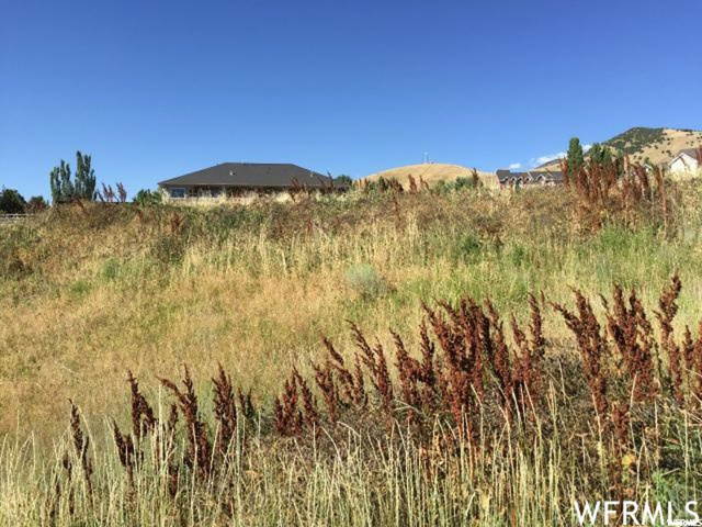 225 N 900 E, Hyde Park, UT 84318 — photo 6