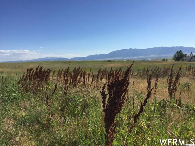 225 N 900 E, Hyde Park, UT 84318 — photo 10