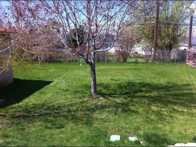 481 N 150 E, Kaysville, UT 84037 — photo 8