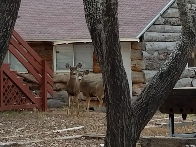 525 W 200 N, Mona, UT 84645 — photo 3