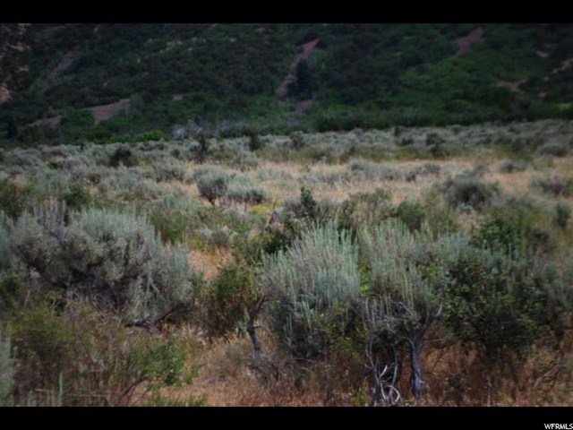 4890 N Sunset Rd #2, Oakley, UT 84055 — photo 4